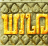 Дикий символ - надпись Wild
